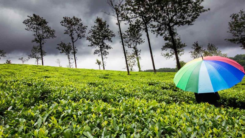 “Monsoon Marvels: Delightful Destinations in India to Explore”