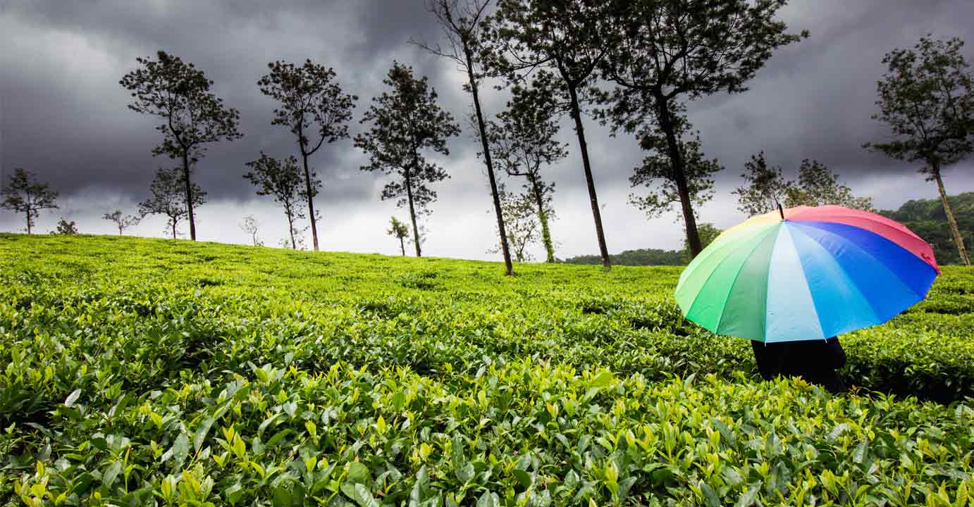 “Monsoon Marvels: Delightful Destinations in India to Explore”