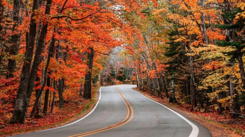 Best US Road Trips for Fall Festivals