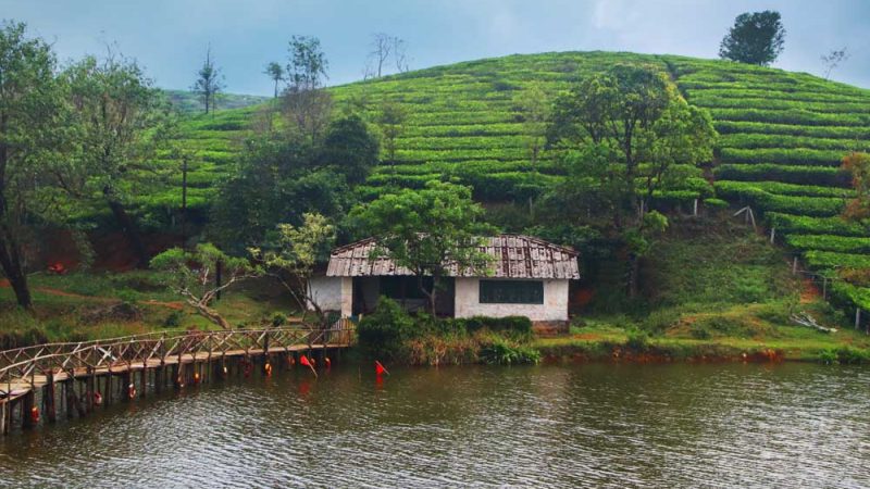 Hill Stations in South India: