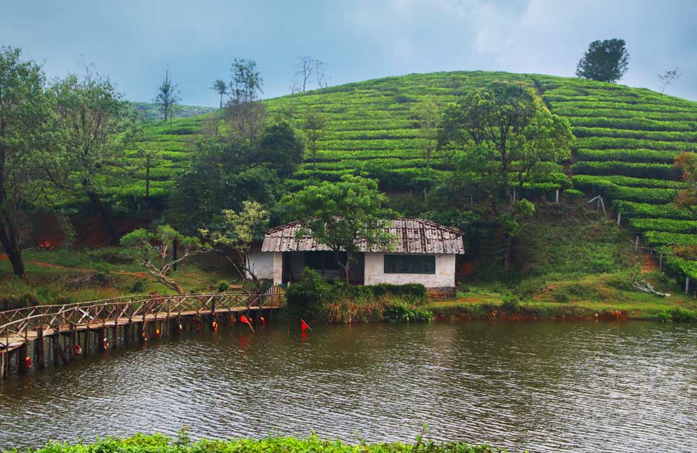 Hill Stations in South India: