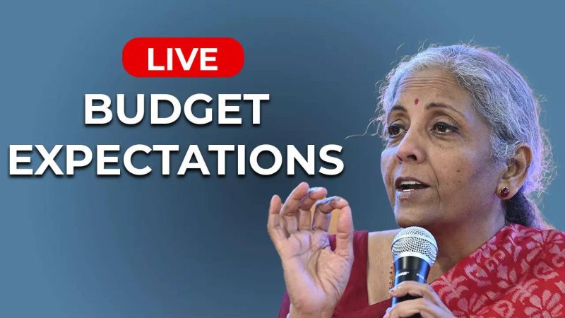 “Budget 2025: Key Expectations Across Sectors”